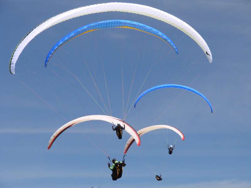 Alas de Leyre, Campeón de España de Parapente